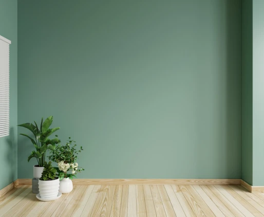 Minimalist interior room with green painted wall, wooden flooring, and indoor plants